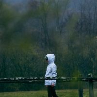 DSCF6348